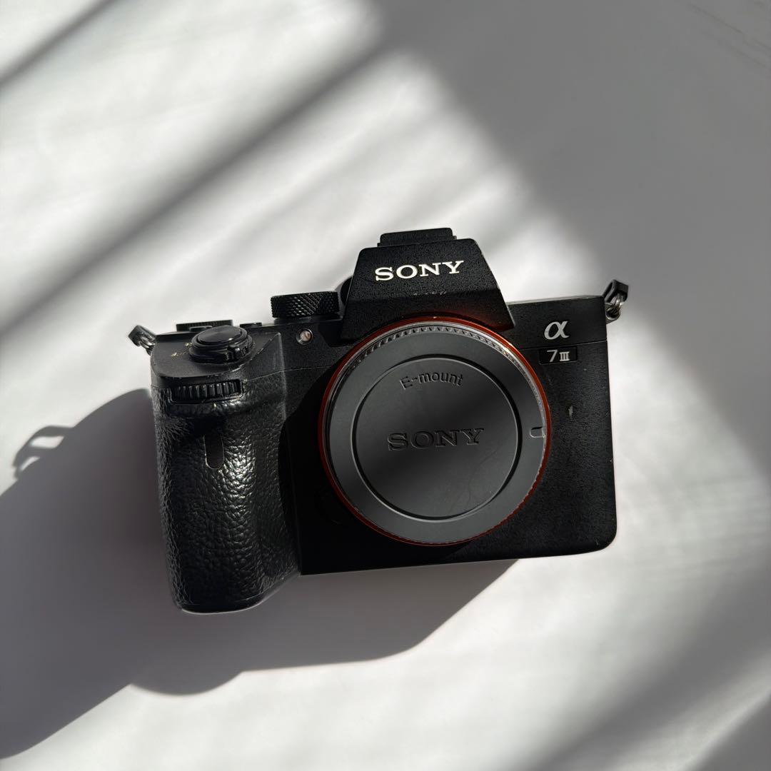 が*ん様 SONY α7 III 本体/フルゲージ(smallrig)