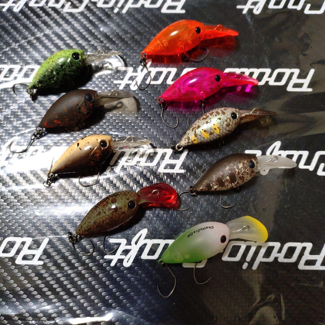 ディスプラウト⑧