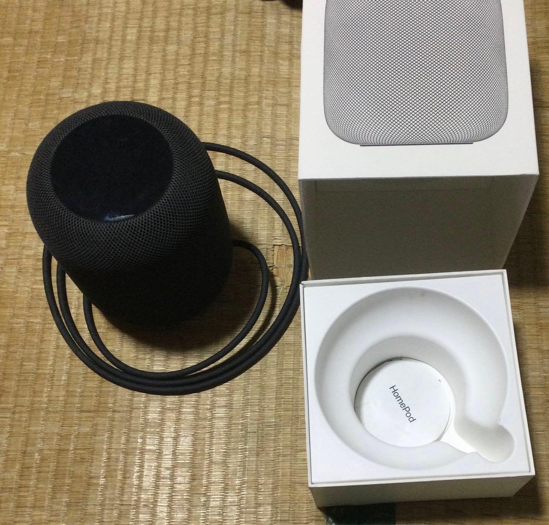 Pod 第1世代 MQHW2J/A