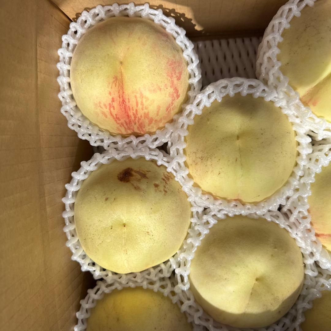 シーエックス　二箱