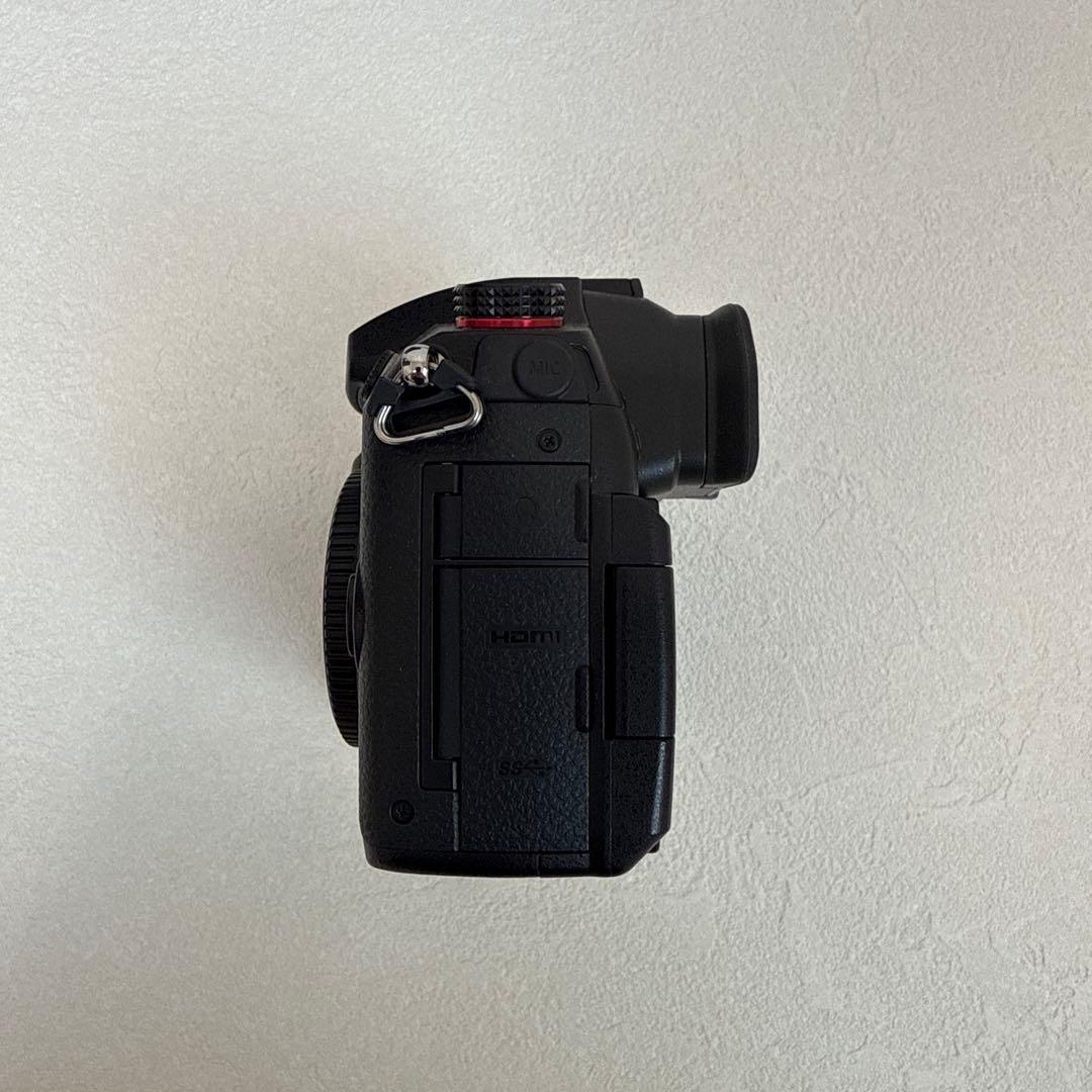 【美品】Panasonic Lumix DC-GH5M2