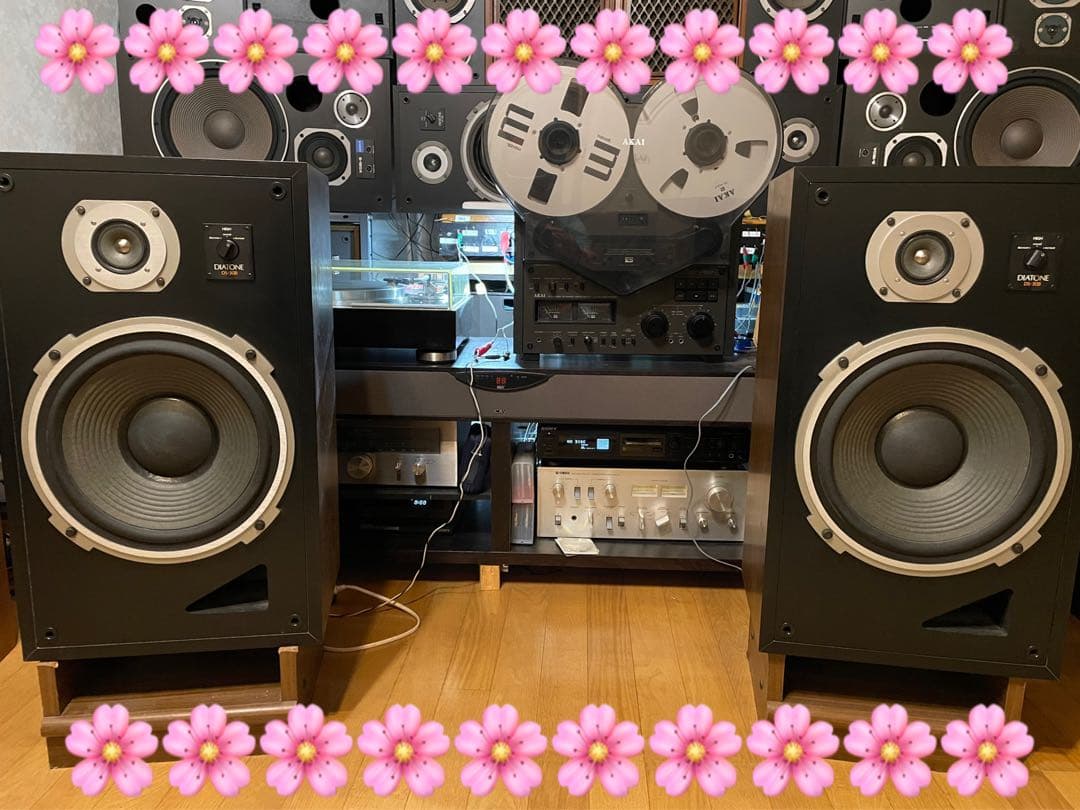 DIATONE DS-30B 30センチスピーカー　YouTube視聴可能