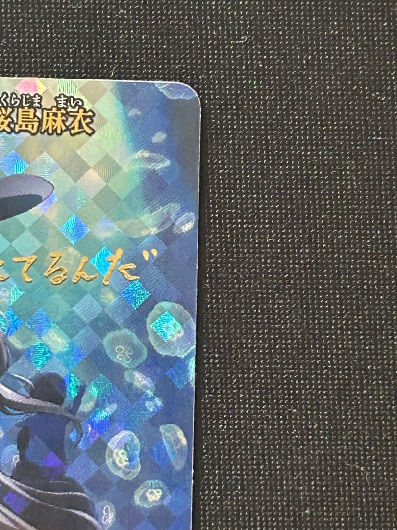 シュレディンガーの兎　桜島麻衣　br ビルディバイド青ブタ