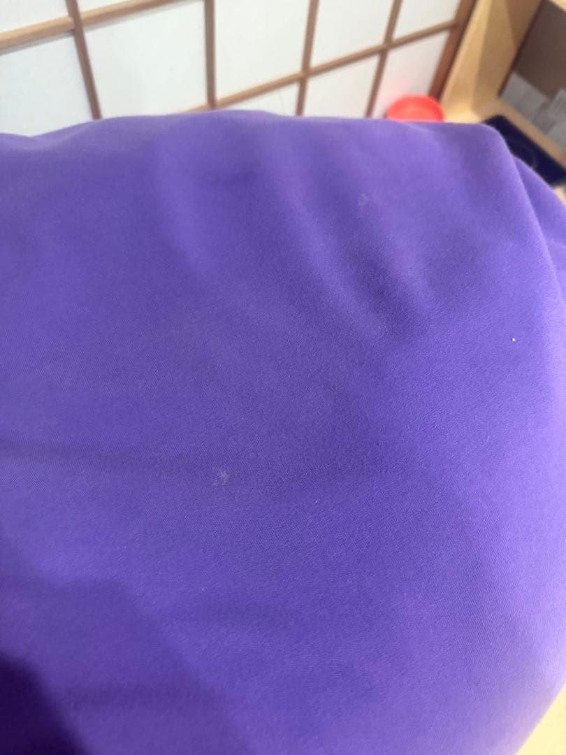 ビーズクッション・クッションソファ toshio611