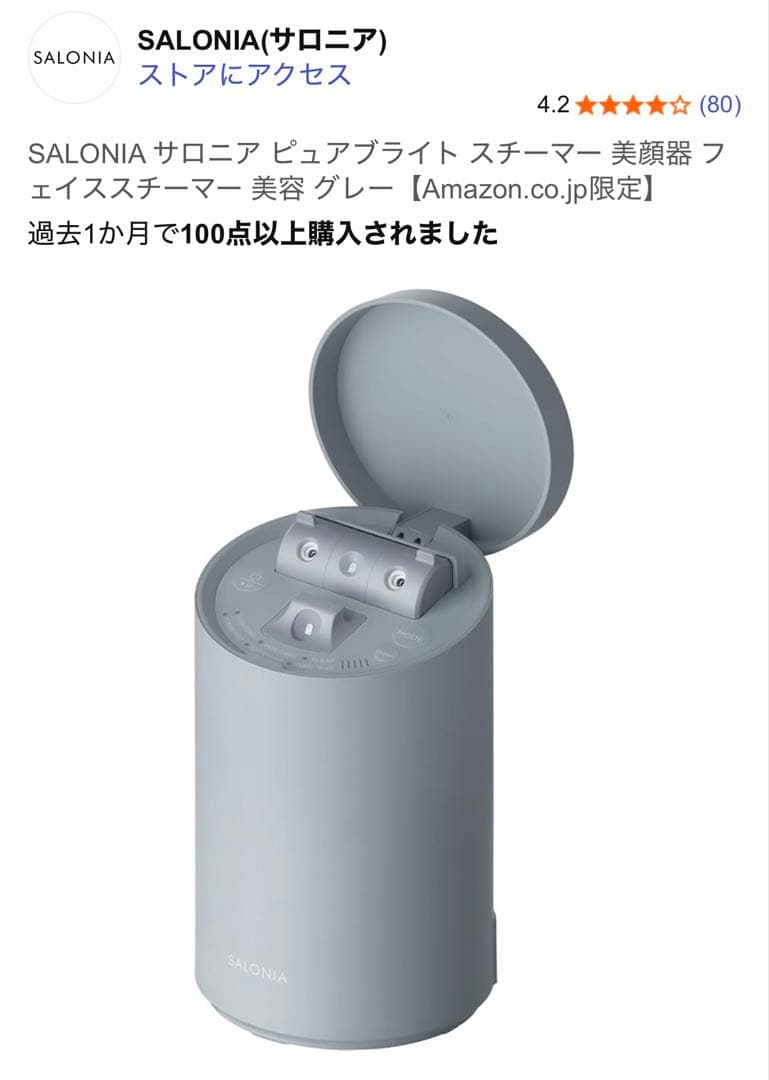 SALONIA PURE BRIGHT STEAMER グレー